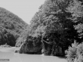 73_Balta-Negra