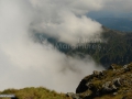34_Neguri-in-zanoagele-Pietrosului