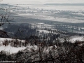 06-La-SV-de-Tighieru-Statiunea-Pomicola-Tautii-Magheraus-Berarie