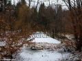13-Balta-lui-Pocol-micul-parc-dendrologic