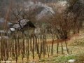 14-La-Ghistinisul-lui-Hindly-Lajos-vie