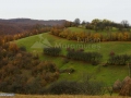 08_Terase-Maramures-zona-Preluci