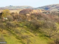 51_Zona-Prelucilor-Maramures