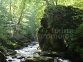 31_Valea-Runcu