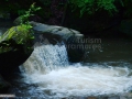 37_Valea-Runcu