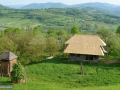 20_Nou-in-spirit-traditional-Slatioara