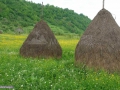 61_Faneata-Giulesti-Maramures