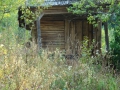 14_Din-Dealu-Corbului