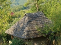 16_Din-Dealu-Corbului