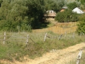 26_Romanesti