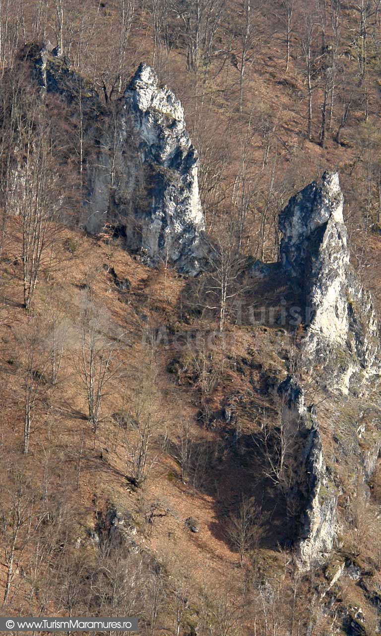 Defileul Lapusului_Martori de eroziune dolomitici sub Piatra Ciutei