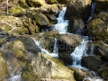 Afluent-Lapus_01