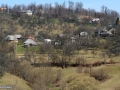 Groape-Maramures_01