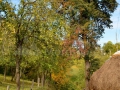 19_Salnita-de-Jos_Maramures