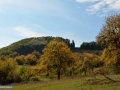 23_Salnita-de-Jos_Maramures