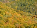 24_Salnita-de-Jos
