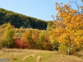 25_Salnita-de-Jos
