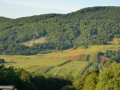 12_Valea-Cufoaia