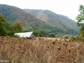 02_Culmea-Preluca