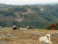 24_Coborand-spre-Valea-Arinului