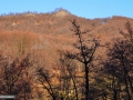 06_Piatra-Runcului