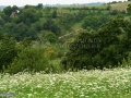 08_Dealul-Corbului-Maramures