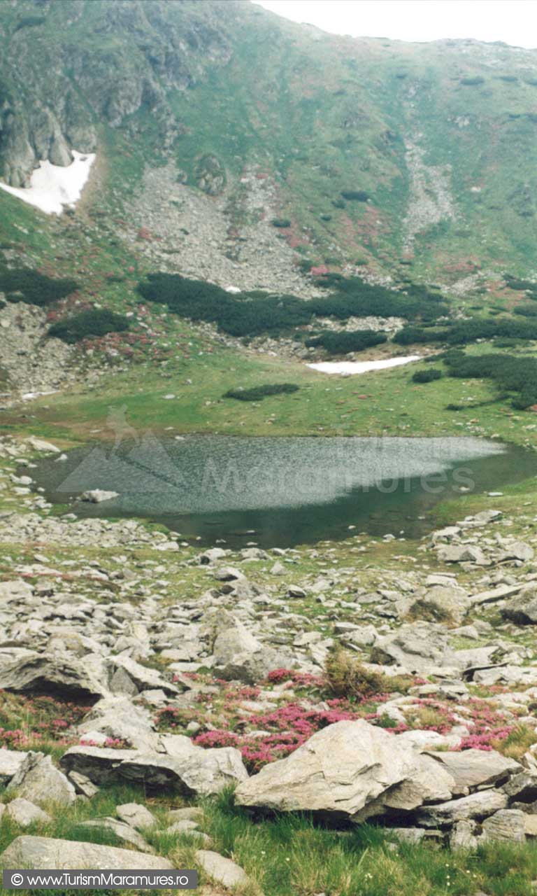 Lacul glaciar Iezer din Pietrosul Rodnei 02-Iezerul-Pietrosului