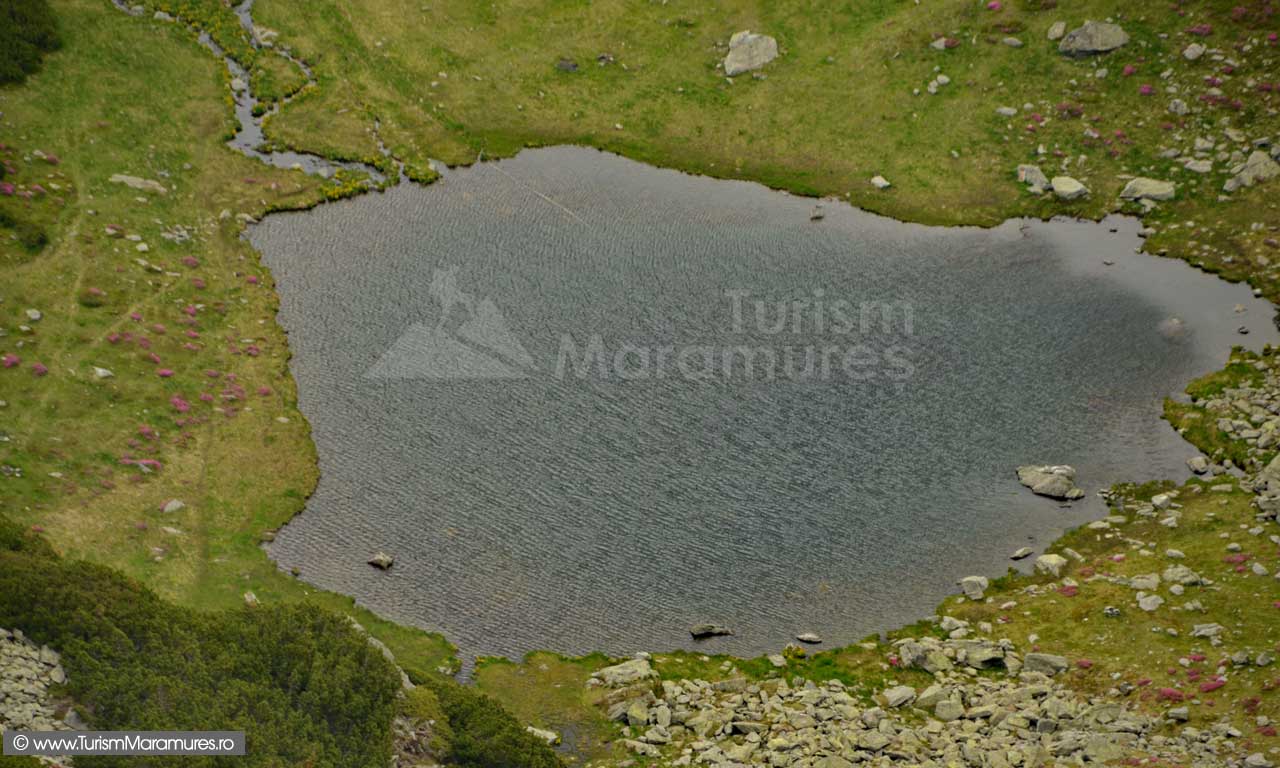 Lacul glaciar Iezer din Pietrosul Rodnei 343-Iezeru-Pietrosului