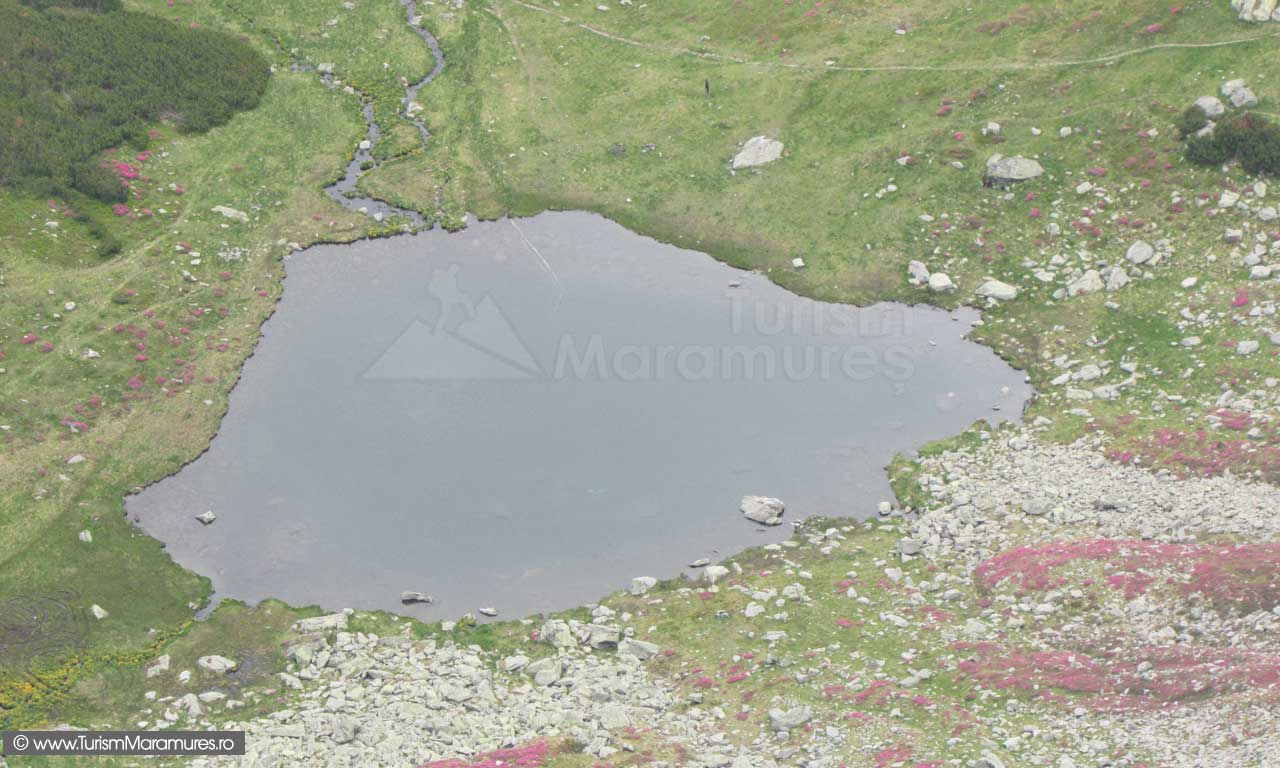 Iezeru Pietrosului - lac glaciar din Pietrosul Rodnei Lacul-Iezer_1910