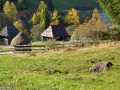 105_Budesti-Maramures
