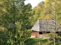 106_Budesti-Maramures
