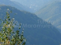 Panorama spre Valea Borcutului