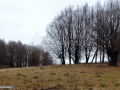 Dealul Purcaretu Maramures