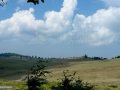 Platoul cu faneata