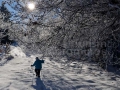 Iarna-Muntii-Ignis-Maramures