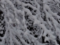 Iarna Maramures_03