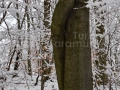 Iarna Maramures_04