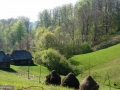 20_Izvoarele-Bloaja-Maramures