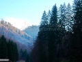 Valea Poienii_Maramures
