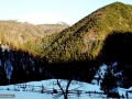11-Pichetul-Smereceni-de-pe-valea-Repedea-Turism-Maramures