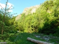 Piatra-Negoiescu