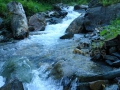 Valea-Negoiescu