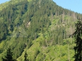 16_Cimpoiesul