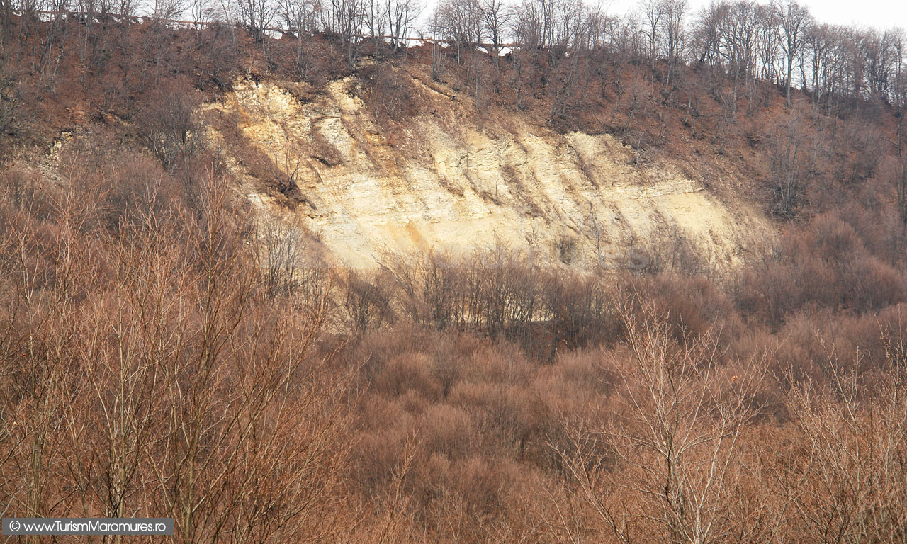 06_Fosta-cariera-de-calcar-cu-fosile-marine-din-Dealul-Toporu