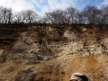 11_Geolog-Sub-Ripa-Dealul-Toporu