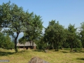 Casa-Budesti-Maramures_01