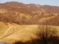 17_Dealul-Crucii-si-Arsita-Maramures