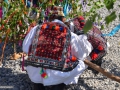 0217_Tanjaua-de-la-Hoteni