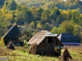55_Gospodarie-zona-Lapus-Maramures