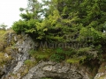 12_Arcada